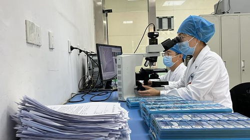 中醫骨傷融合現代醫技,共促醫療服務能力新提升