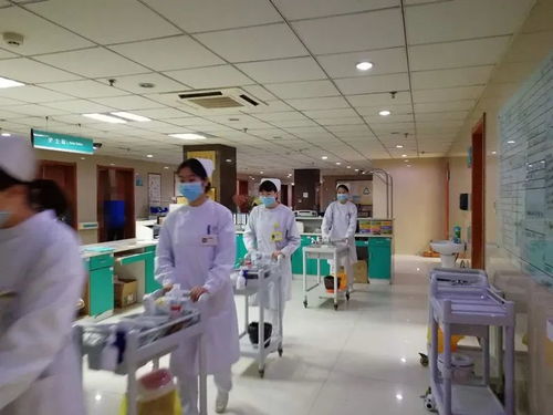 春天里,你們最美