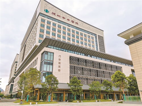 鳳凰片區加快打造總部經濟集聚區