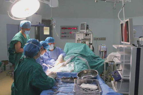 籃球少年遭遇半月板撕裂丨德州市中醫(yī)院關(guān)節(jié)鏡手術(shù),助患者重返球場(chǎng)