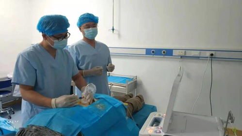 市湯崗子康復醫院加入中日友好醫院超聲可視化針刀技術專科醫聯體